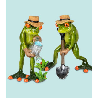 Frosch Gärtner sortiert