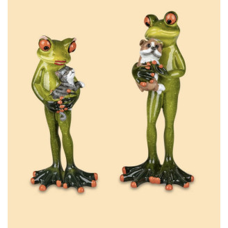 Frosch Haustier sortiert